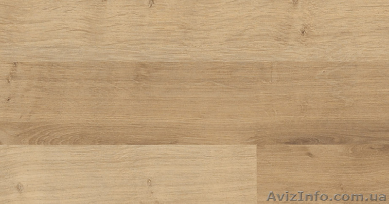 Ламинат WITEX Liseo - <ro>Изображение</ro><ru>Изображение</ru> #6, <ru>Объявление</ru> #420017
