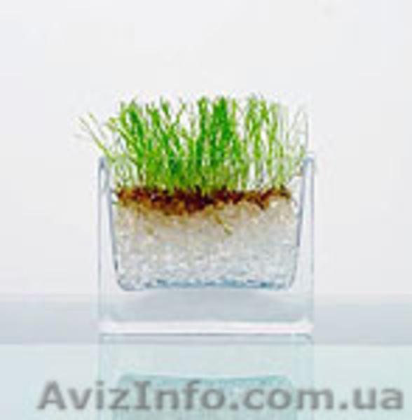 Аграрный гидрогель - <ro>Изображение</ro><ru>Изображение</ru> #1, <ru>Объявление</ru> #400193