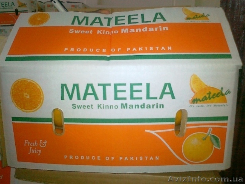мандарины из Пакистана - <ro>Изображение</ro><ru>Изображение</ru> #3, <ru>Объявление</ru> #452309