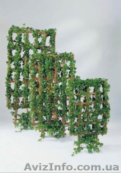 Искусственные растения, кашпо (Бельгия, Голландия) - <ro>Изображение</ro><ru>Изображение</ru> #5, <ru>Объявление</ru> #440055