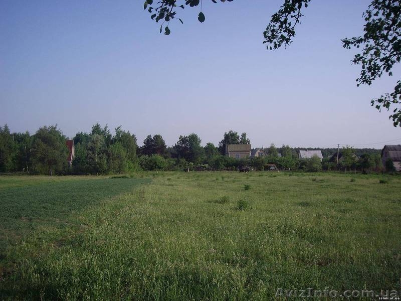 Участок 25 сот, с. Николаевка (23 км от КП) - <ro>Изображение</ro><ru>Изображение</ru> #2, <ru>Объявление</ru> #456104