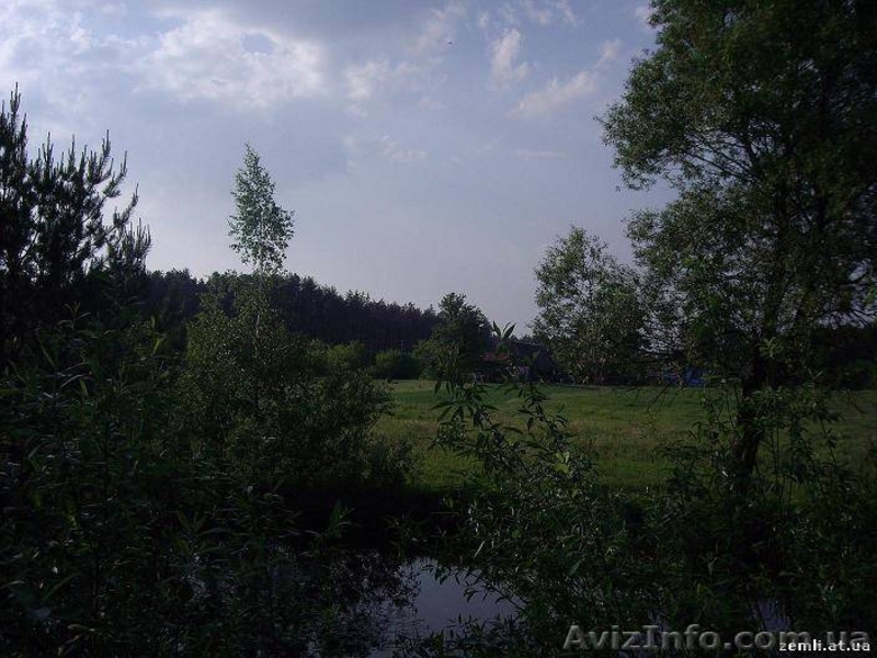 Участок 25 сот, с. Николаевка (23 км от КП) - <ro>Изображение</ro><ru>Изображение</ru> #3, <ru>Объявление</ru> #456104