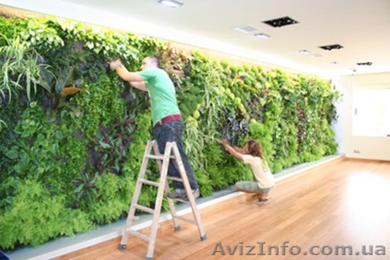 ландшафтный дизайн от Патоля : вертикальные сады и водоемы на стенах            - <ro>Изображение</ro><ru>Изображение</ru> #2, <ru>Объявление</ru> #446676