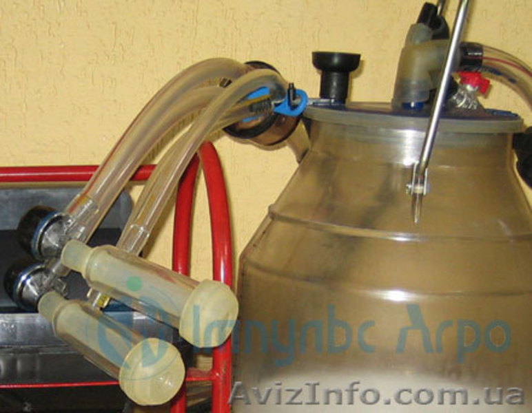 Доильные аппараты, маслобойки, сепараторы и др - <ro>Изображение</ro><ru>Изображение</ru> #3, <ru>Объявление</ru> #433429