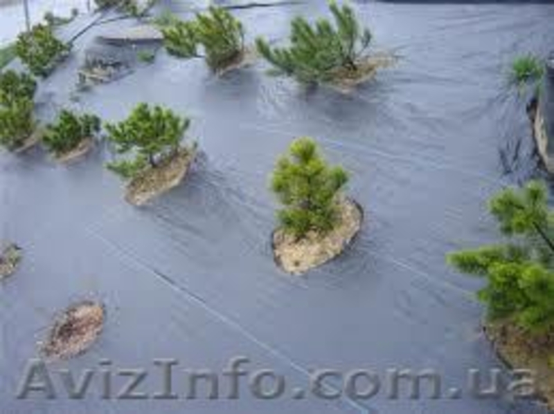 агроволокно, спанбонд,  - <ro>Изображение</ro><ru>Изображение</ru> #3, <ru>Объявление</ru> #433266