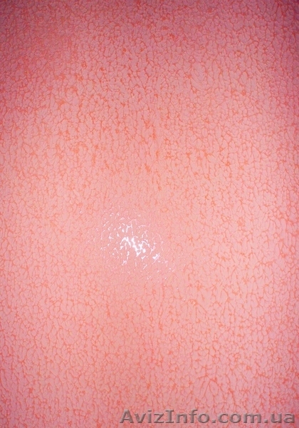 Декоративные штукатурки Киев - <ro>Изображение</ro><ru>Изображение</ru> #5, <ru>Объявление</ru> #472955