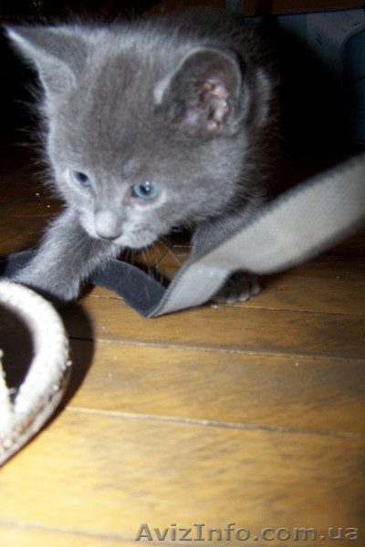 Серебристый подарок под/на ёлку - <ro>Изображение</ro><ru>Изображение</ru> #2, <ru>Объявление</ru> #460531