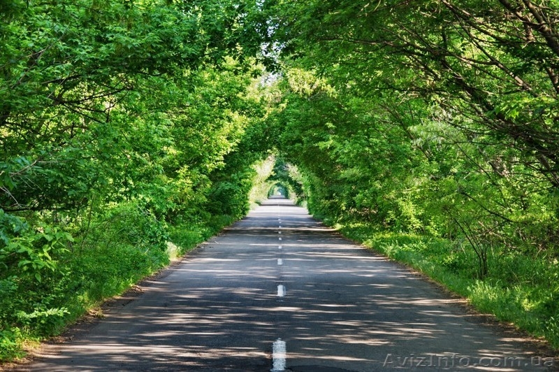 Оболонский р-н.Пуща-Водица Дом - <ro>Изображение</ro><ru>Изображение</ru> #3, <ru>Объявление</ru> #465474