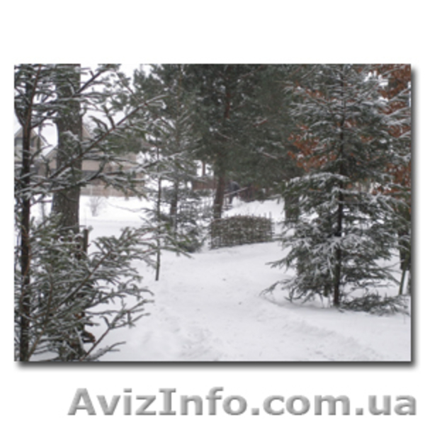 Аренда коттеджей на выходные, частные коттеджи для отдыха Киев - <ro>Изображение</ro><ru>Изображение</ru> #5, <ru>Объявление</ru> #466233