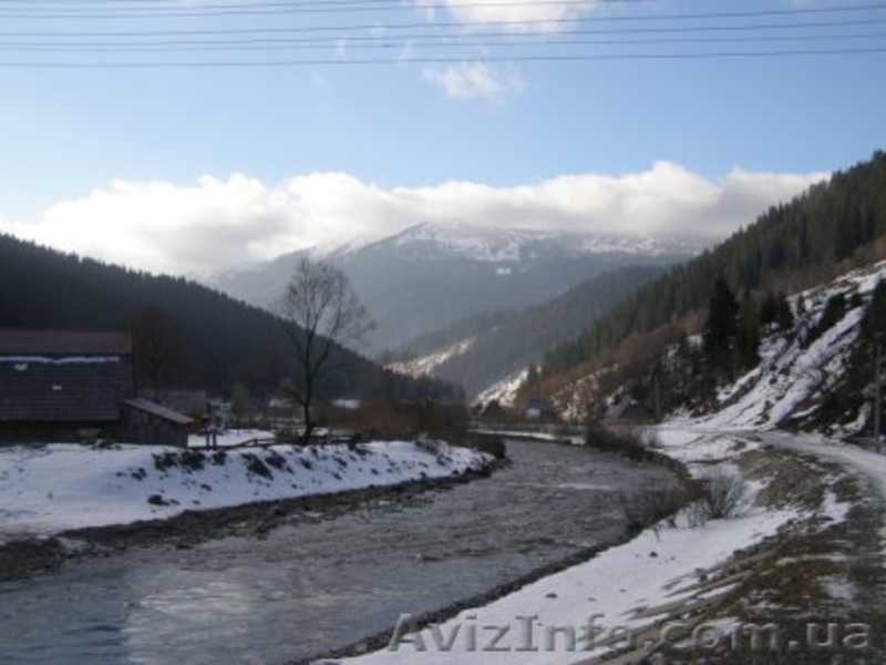 Запрошуємо на Новий Рік у Карпати на ранчо "Синьогорія" - <ro>Изображение</ro><ru>Изображение</ru> #3, <ru>Объявление</ru> #459304