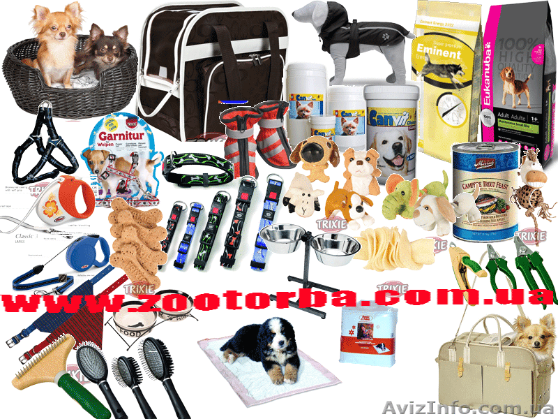 Зоотовары  с  заботой. - <ro>Изображение</ro><ru>Изображение</ru> #1, <ru>Объявление</ru> #456495