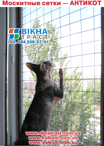 Внутренние  работы на балконе и лоджии. - <ro>Изображение</ro><ru>Изображение</ru> #6, <ru>Объявление</ru> #464118