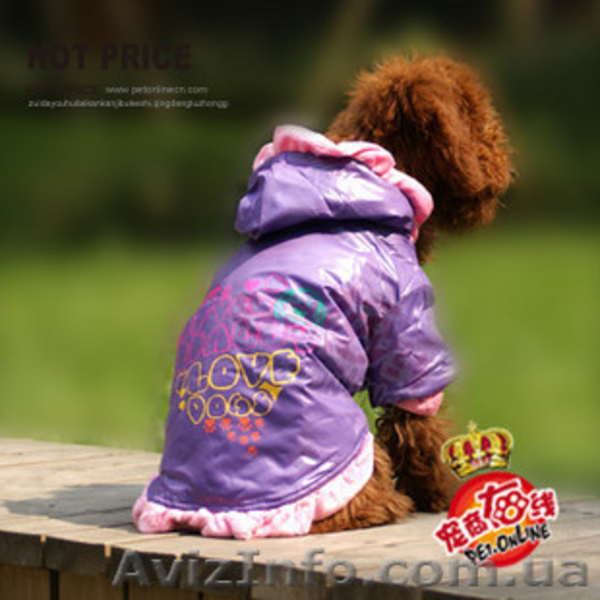 Одежда для собак по очень хорошим ценам - <ro>Изображение</ro><ru>Изображение</ru> #4, <ru>Объявление</ru> #462858