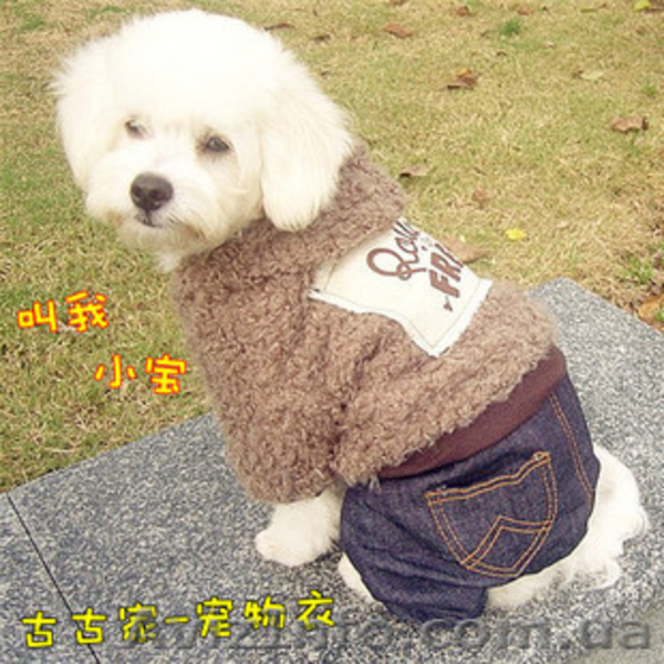 Одежда для собак по очень хорошим ценам - <ro>Изображение</ro><ru>Изображение</ru> #6, <ru>Объявление</ru> #462858