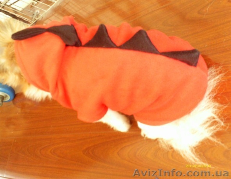 Одежда для собак по очень хорошим ценам - <ro>Изображение</ro><ru>Изображение</ru> #2, <ru>Объявление</ru> #462858