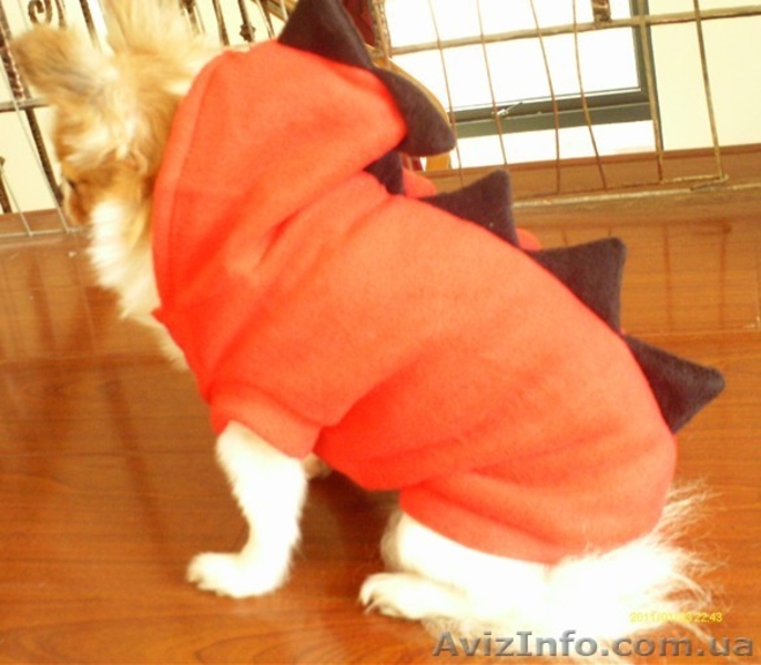 Одежда для собак по очень хорошим ценам - <ro>Изображение</ro><ru>Изображение</ru> #8, <ru>Объявление</ru> #462858
