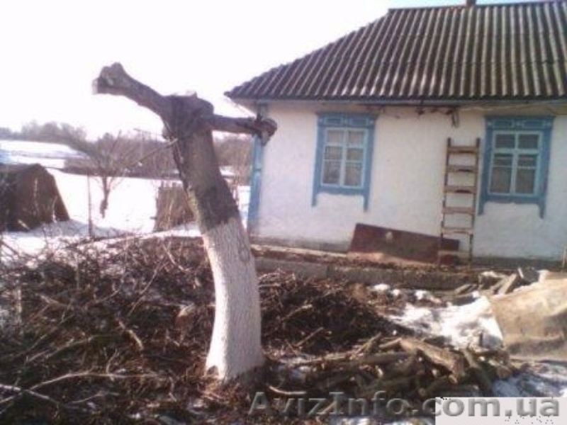 Продаётся дом в селе В.Вильшанка, Васильковский р-н - <ro>Изображение</ro><ru>Изображение</ru> #1, <ru>Объявление</ru> #496355