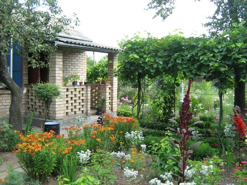 Продам участок в Боярке. - <ro>Изображение</ro><ru>Изображение</ru> #1, <ru>Объявление</ru> #158670