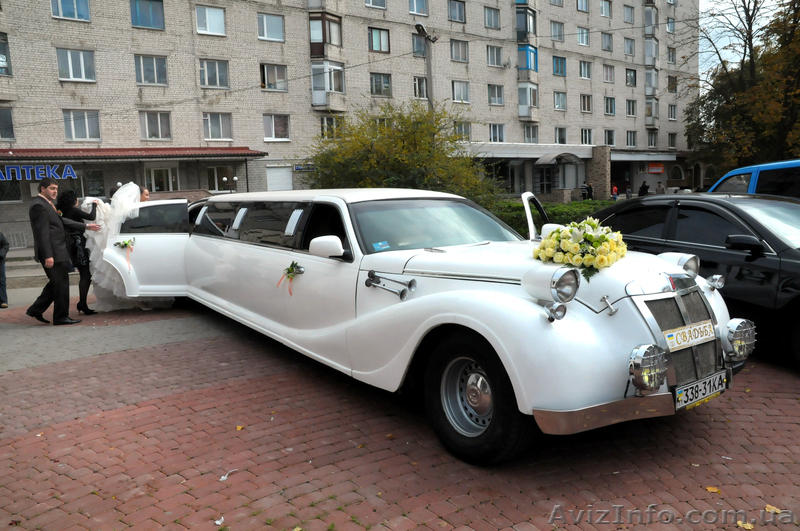 Свадебная арка на прокат, Аренда свадебной арки,  Арка для выездной церемонии - <ro>Изображение</ro><ru>Изображение</ru> #9, <ru>Объявление</ru> #509022