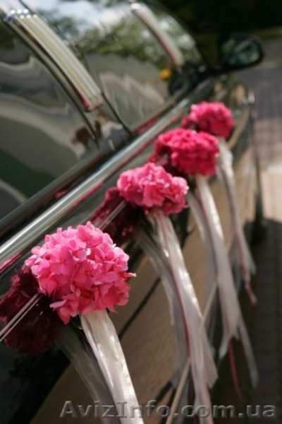 Банкет, праздник, корпоратив, свадьба - организация, оформление, прове - <ro>Изображение</ro><ru>Изображение</ru> #7, <ru>Объявление</ru> #507367