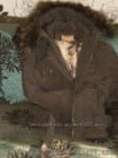 Продам куртки демисезонные - <ro>Изображение</ro><ru>Изображение</ru> #5, <ru>Объявление</ru> #510603