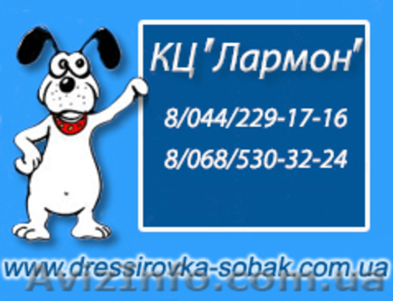 Гостиница для собак. Зоо отель. - <ro>Изображение</ro><ru>Изображение</ru> #2, <ru>Объявление</ru> #84755