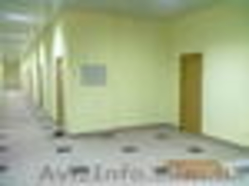 Покраска потолков,стен в Киеве. - <ro>Изображение</ro><ru>Изображение</ru> #1, <ru>Объявление</ru> #497330