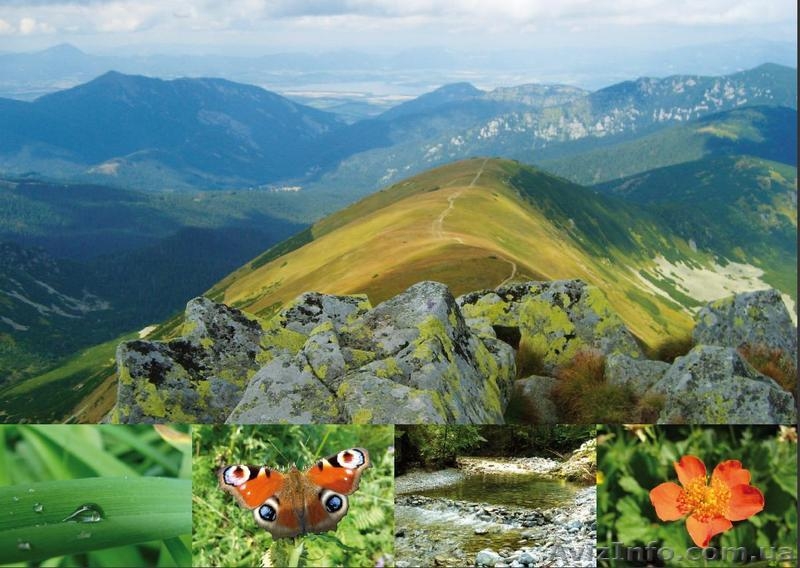 Словакия, Татры, продажа недвижимости от застройщика элитные виллы, коттеджи, до - <ro>Изображение</ro><ru>Изображение</ru> #4, <ru>Объявление</ru> #517396