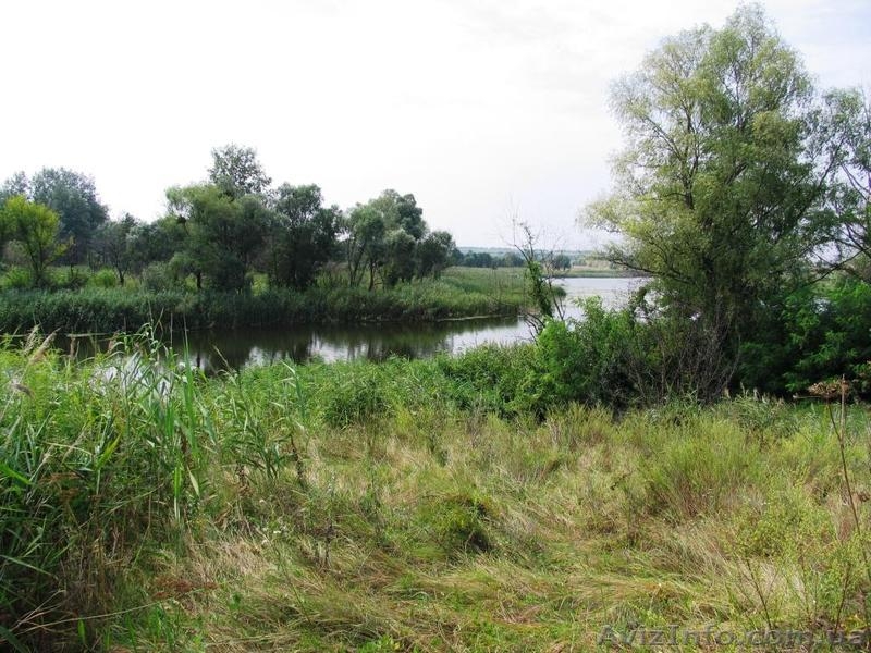 продам 2-хэт/дом и 46сот земли с выходом к р.Рось - <ro>Изображение</ro><ru>Изображение</ru> #4, <ru>Объявление</ru> #507463