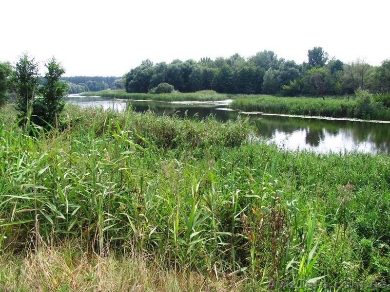 продам 2-хэт/дом и 46сот земли с выходом к р.Рось - <ro>Изображение</ro><ru>Изображение</ru> #5, <ru>Объявление</ru> #507463