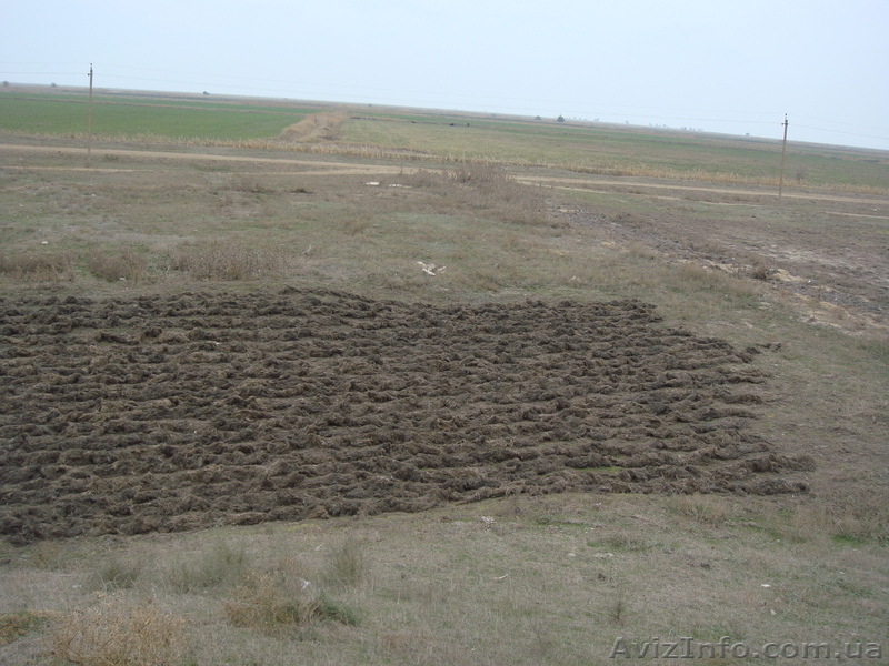 Экологически чистый, природный утеплитель - <ro>Изображение</ro><ru>Изображение</ru> #2, <ru>Объявление</ru> #540201