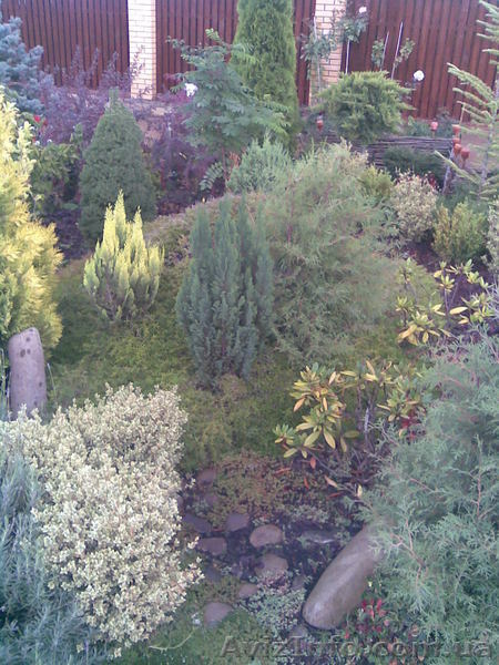  садовник, ландшафтный дизайн, озеленение - <ro>Изображение</ro><ru>Изображение</ru> #3, <ru>Объявление</ru> #523724