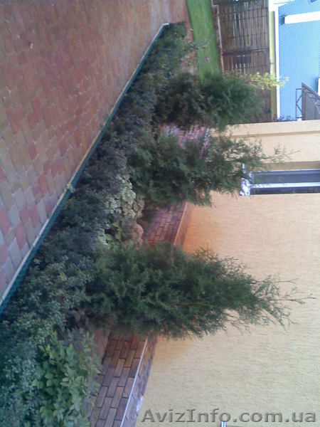  садовник, ландшафтный дизайн, озеленение - <ro>Изображение</ro><ru>Изображение</ru> #5, <ru>Объявление</ru> #523724