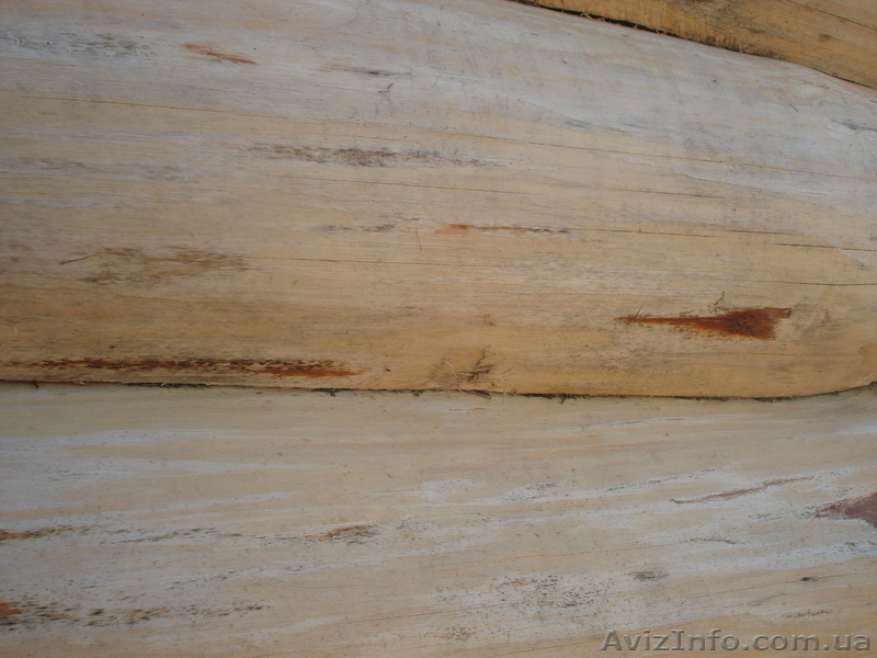 Строительство срубов - <ro>Изображение</ro><ru>Изображение</ru> #3, <ru>Объявление</ru> #532517