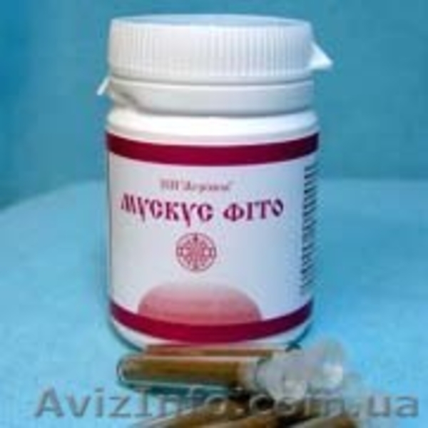 Бобровая струя, барсучий жир, медвежий жир, панты марала (пантокрин) - <ro>Изображение</ro><ru>Изображение</ru> #5, <ru>Объявление</ru> #522369