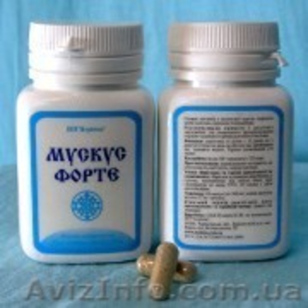 Бобровая струя, барсучий жир, медвежий жир, панты марала (пантокрин) - <ro>Изображение</ro><ru>Изображение</ru> #4, <ru>Объявление</ru> #522369