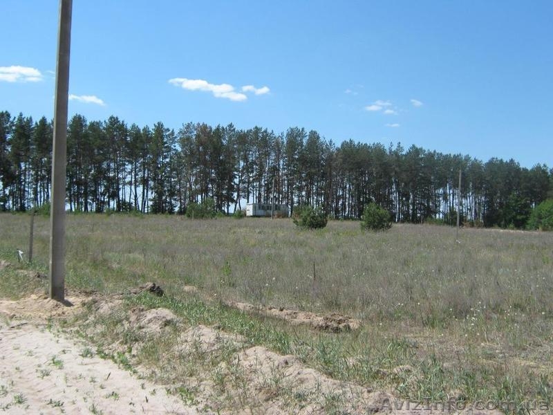 осыково под застройку - <ro>Изображение</ro><ru>Изображение</ru> #1, <ru>Объявление</ru> #536672