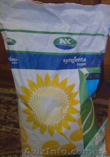 Семена подсолнечника Сингента - <ro>Изображение</ro><ru>Изображение</ru> #1, <ru>Объявление</ru> #549504