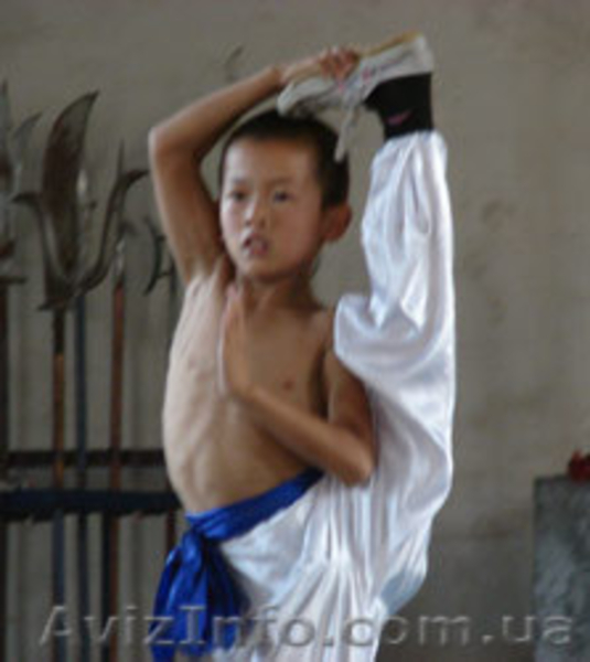 Кунг фу для детей Киев. Обучение Кунг фу в Киеве - <ro>Изображение</ro><ru>Изображение</ru> #5, <ru>Объявление</ru> #572317