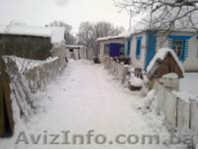 Продам дом с. Винницкие Ставы - <ro>Изображение</ro><ru>Изображение</ru> #4, <ru>Объявление</ru> #589441