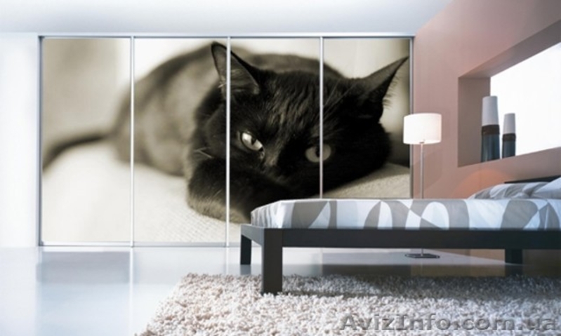 Изготовление шкафов -купе по индивидуальным  заказам - <ro>Изображение</ro><ru>Изображение</ru> #9, <ru>Объявление</ru> #562639