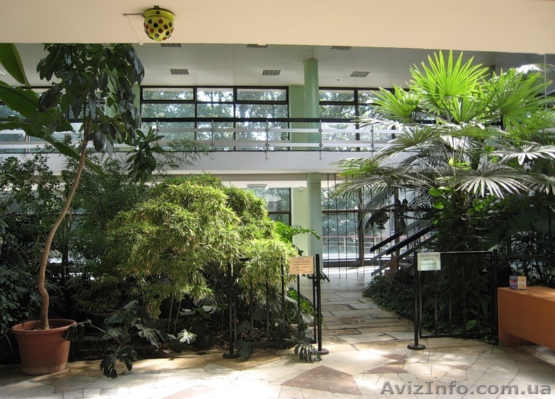 Ландшафтный дизайн от Патоля : зимние сады - <ro>Изображение</ro><ru>Изображение</ru> #1, <ru>Объявление</ru> #568163