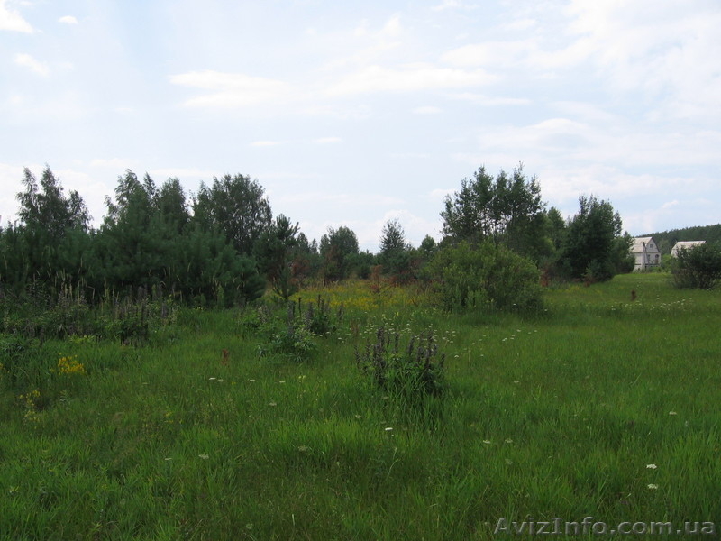 Продаются два земельных участка по 12 соток ., Пгт. Макаров(с.Фасова) - <ro>Изображение</ro><ru>Изображение</ru> #3, <ru>Объявление</ru> #592888