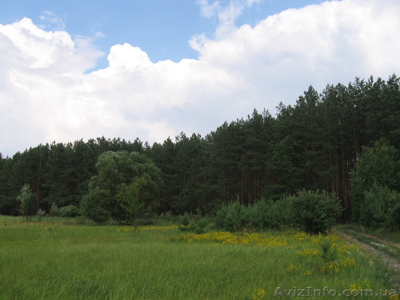 Продаются два земельных участка по 12 соток ., Пгт. Макаров(с.Фасова) - <ro>Изображение</ro><ru>Изображение</ru> #2, <ru>Объявление</ru> #592888