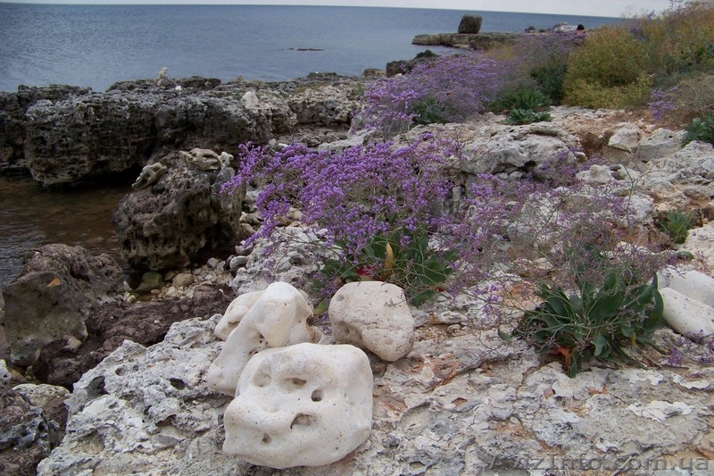 Дом в Крыму на лето - <ro>Изображение</ro><ru>Изображение</ru> #7, <ru>Объявление</ru> #562898