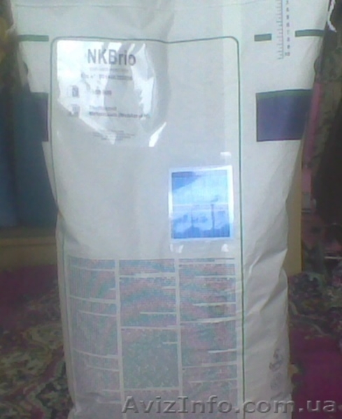 Семена подсолнечника Сингента - <ro>Изображение</ro><ru>Изображение</ru> #3, <ru>Объявление</ru> #549504