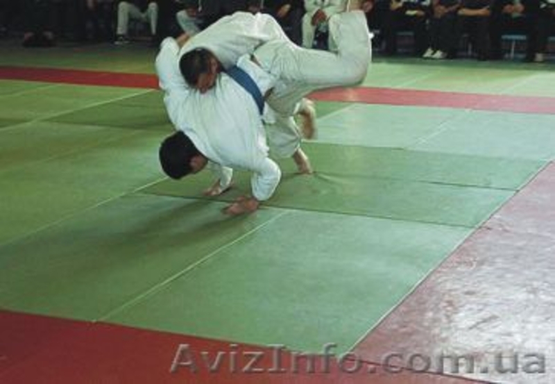 ТАТАМИ, КОВРЫ БОРЦОВСКИЕ. - <ro>Изображение</ro><ru>Изображение</ru> #3, <ru>Объявление</ru> #566936