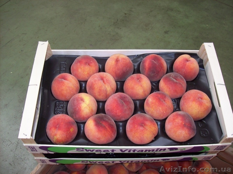Frukti v Ispanii! Lleida. Kostochkovie frukti. - <ro>Изображение</ro><ru>Изображение</ru> #2, <ru>Объявление</ru> #608281