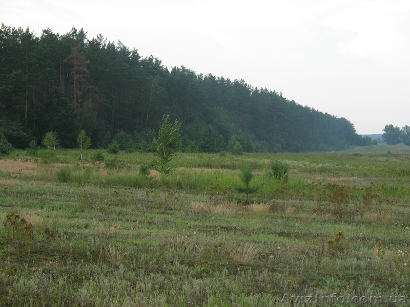 Уникальные земельные участки под застройку - <ro>Изображение</ro><ru>Изображение</ru> #2, <ru>Объявление</ru> #610110