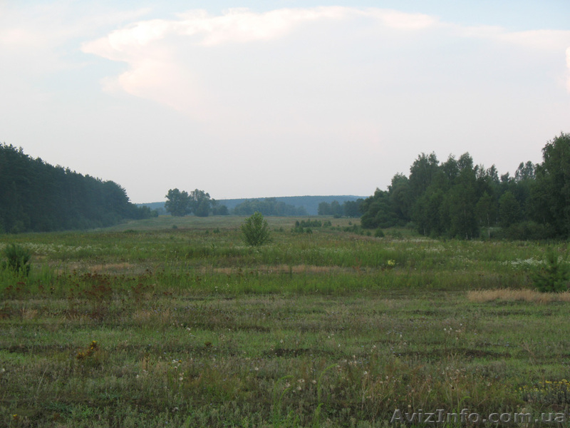 Уникальные земельные участки под застройку - <ro>Изображение</ro><ru>Изображение</ru> #3, <ru>Объявление</ru> #610110